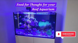 Red Sea 250 G2 Update 26 Foods for thought [upl. by Rehpotsrik921]