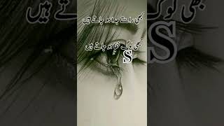 Na Jaane Kyon Apne Hi Bewafa Ho Jaate Hain yusufmomin24 shorts urdupoetry [upl. by Aniraad]