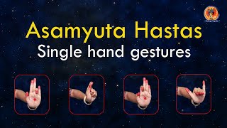 Asamyuta Hastas  Single hand gestures [upl. by Beverie815]