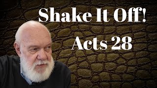 Shake it Off Acts 28 [upl. by Ivers]