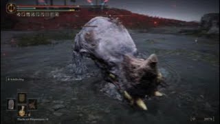 Lesser Golden Hippopotamus Charo’s Hidden Grave – Solo Melee – Shadow of the Erdtree – Elden Ring [upl. by Yrhcaz]