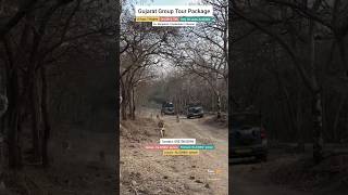 Gujarat Group Tour Packages Contact 09370053095 gujarattourism gujaratgrouptour gujarat [upl. by Sivi206]