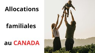 Les allocations familiales au Canada 🇨🇦  Langage algérien 🇩🇿 [upl. by Trautman751]