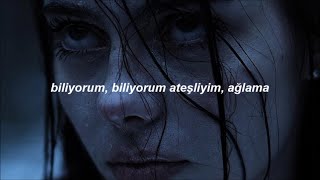 Sickick  Intro Infected Türkçe Çeviri [upl. by Bork]