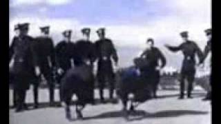 Cossacks Dance from Soviet Army Aidamir Mugu  Chernie Glasa [upl. by Engvall]