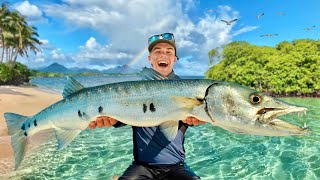 Barracuda géant de la Guadeloupe la grande mission de pêche exotique [upl. by Fabrin]