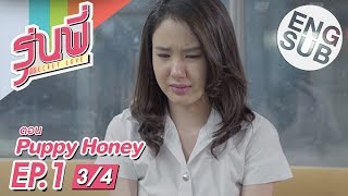 Eng Sub ซีรีส์รุ่นพี่ Secret Love  Puppy Honey  EP1 34 [upl. by Bernelle998]