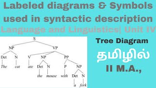 Labeled diagrams amp Symbols used in syntactic description Language and Linguistics  தமிழில் [upl. by Aserej]