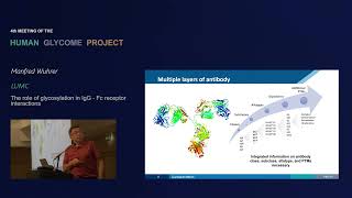 Manfred Wuhrer  The role of glycosylation in IgG  Fc receptor interactions [upl. by Ilac]