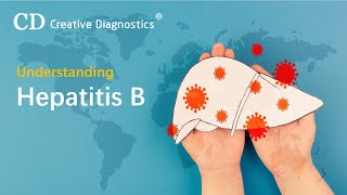 Understanding Hepatitis B  Creative Diagnostics [upl. by Nilyaj]