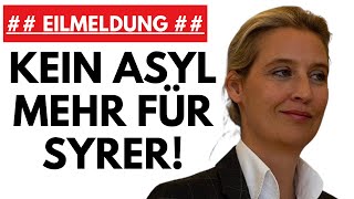 🔥 HAMMERMELDUNG AfD im Freudentaumel  🔥 [upl. by Neema680]