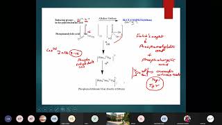 Estimation of Protein by Lowry Method [upl. by Acinorrev]