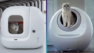 6 Best Automatic SelfCleaning Litter Boxes 2024 [upl. by Aveneg676]