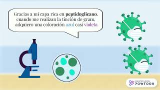 STREPTOCOCCUS SOBRINUS [upl. by Nikolaos]