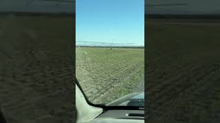 Planting Coors Malt Barley coors johndeere farming barley farm spring idaho [upl. by Einad]