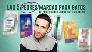 Las 5 PEORES marcas de PIENSO CUIDOCROQUETITAS para GATOS 😾 No son las que esperas 🙀 [upl. by Ettelloc]