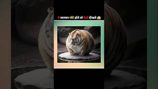 जानवर मोटे होते तो कैसे दिखते😱 What if animals were fat animals shorts facts [upl. by Damicke209]