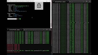 ðŸ’¢Chrysler C2 Botnet VS 25GBs OVH Anti DDoSðŸ’¢ [upl. by Haney]