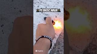 Petardo Ninja 2024 lol fireworks shortsviral epic [upl. by Sewel340]