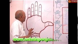 PALMISTRY PART 100 IN HINDI [upl. by Nairod]