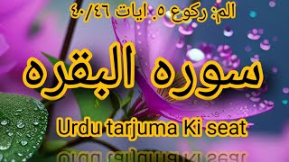 Ruku 5 of Surah AlBaqarah verses 4046 Urdu translation [upl. by Aeneus]