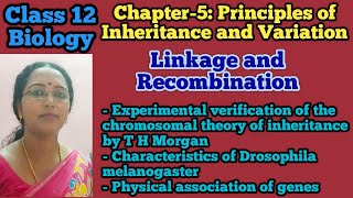 Linkage and Recombination  Class 12 Biology  NEET Biology [upl. by Yevrah]