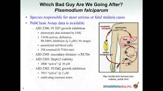 Malaria Project Webinar [upl. by Robert316]