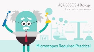 AQA GCSE 91 Biology Microscope Required Practical [upl. by Ahsena]