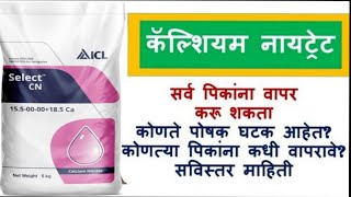 Calcium Nitrate ICL कॅल्शियम नायत्रेट माहिती Fertilizer Calcium चे फायदेcalcium calciumdeficiency [upl. by Stedmann]