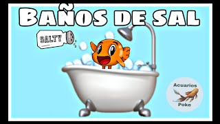 Baños de sal para curar peces Curar peces con sal sin dañarlos [upl. by Atneuqal742]