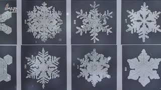 Why No Two Snowflakes Are Alike According to Science [upl. by Zawde]