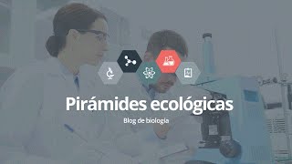 Pirámides ecológicas [upl. by Klement]