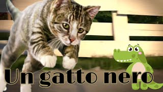 Volevo gatto nero in russo Imparare russo Canzoni per bambini 2019 [upl. by Mazel]