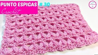 PUNTO CROCHET ESPIGAS  30 [upl. by Euqinobe]