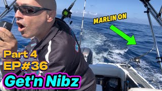 We HOOKED a Marlin  Bermagui Part 4  EP36  Getn Nibz [upl. by Alvord]