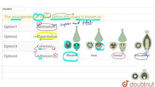 The arrangement of ovules within the ovary is known as [upl. by Amedeo]