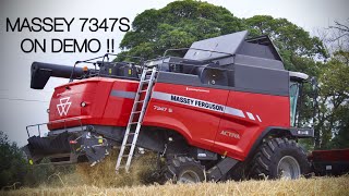 MASSEY FERGUSON 7347S amp NEWHOLLAND CS640 harvest 2024  Kavanaghs [upl. by Bond890]