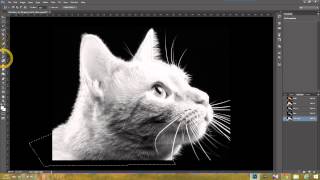 HOW TO USE ALPHA CHANNEL IN PHOTOSHOP CC TUTORIAL [upl. by Adah177]