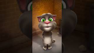 Rowdy gari pellam song by Talking Tom [upl. by Ahsaetan345]