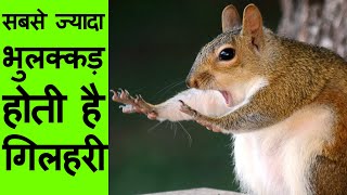 13 Interesting Facts  Most Amazing facts in Hindi [upl. by Moclam760]