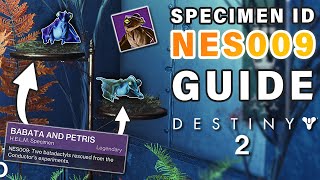 How to Complete Failsafe SPECIMEN ID NES009 Complete Guide  FAST amp EASY ► Destiny 2 [upl. by Althee681]