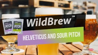 WildBrew Helveticus and Sour Pitch [upl. by Gusty]