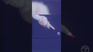 Space Shuttle Challenger disaster January 28 1986 Original Eyewitness News coverage shorts [upl. by Evangelia]