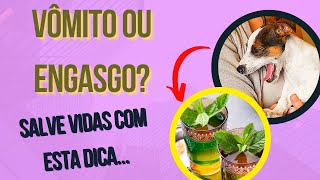 CACHORRO ENGASGADO E COM TOSSE E VÔMITO COM ESPUMA BRANCA O QUE FAZER EM CASA E COMO RESOLVER [upl. by Latsirhc657]