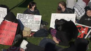 Free Palestine Protest at Brooklyn College 111423 [upl. by Negriv222]