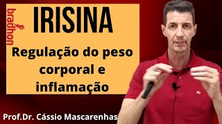 Irisina controle do peso e inflamação [upl. by Odlamur]