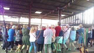 Banshee Ceilidh Band Blaydon Races at Upton St leonards [upl. by Isabelita]