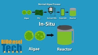 Biodiesel Production Methods [upl. by Isacco723]