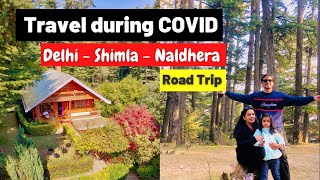 Road Trip Delhi Shimla Naldhera  Stay in NaldheraChalets  Room Tour  Things to do [upl. by Enihpad]