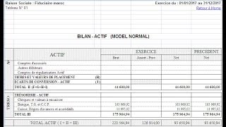 logiciel pour les états de synthèses gratuits au Maroc [upl. by Celtic168]